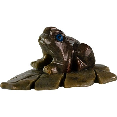 Spirit Animal Frog on Leaf