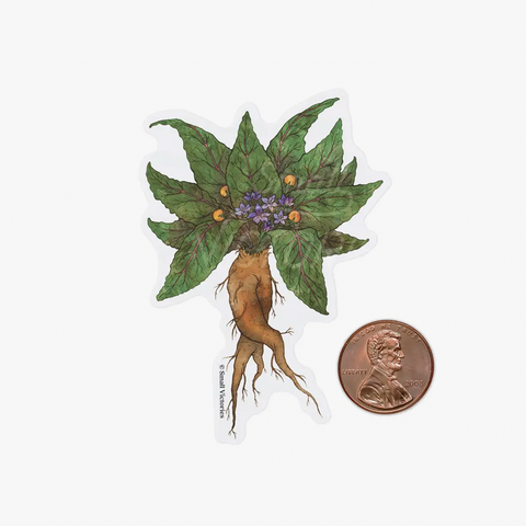 Eco-Sticker: Mandrake