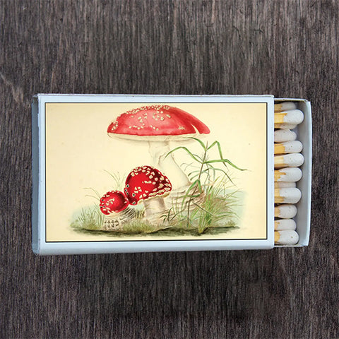 Matchbox Mushrooms