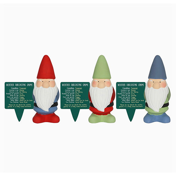 Terracotta Weather Forecasting Gnome Garden Ornament (assorted colours)