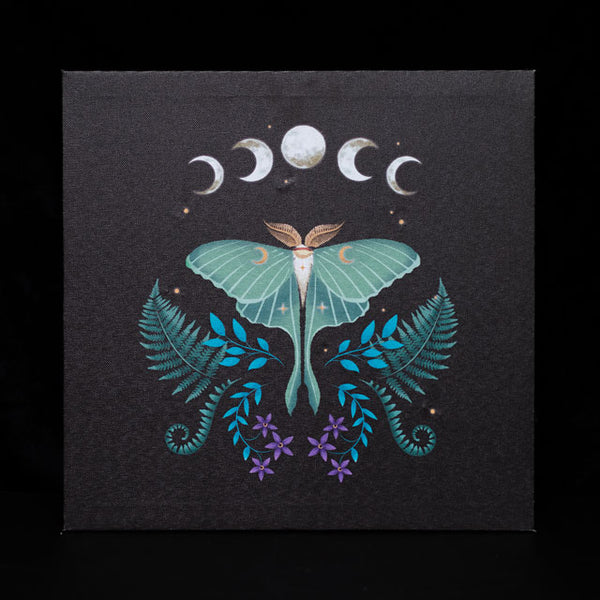 Luna Moth Light Up Canvas Plaque