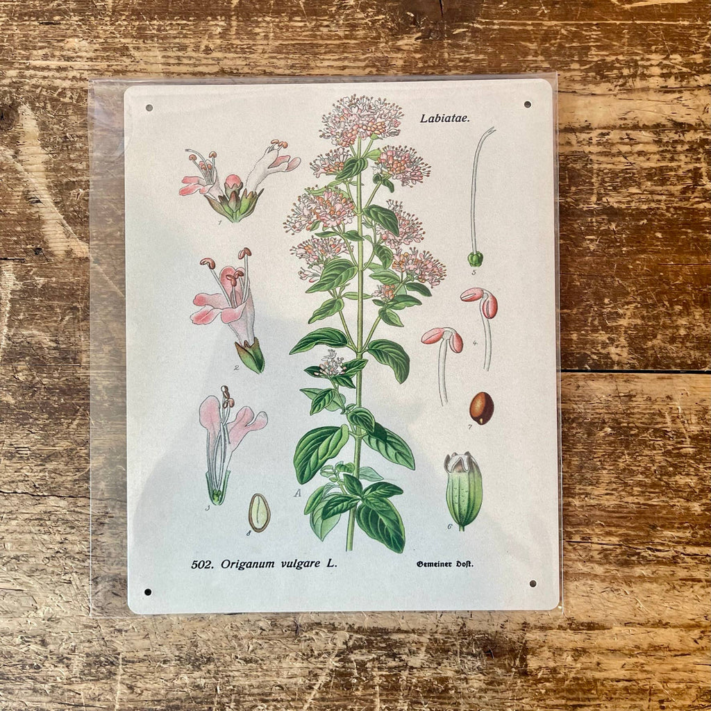 Metal Sign: Herbs - Oregano