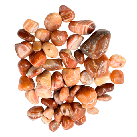 Red Sardonyx tumbled (1 stone)