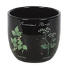 Plant Pot Poisonous Plants Gothic Botanical