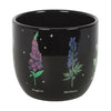 Plant Pot Poisonous Plants Gothic Botanical