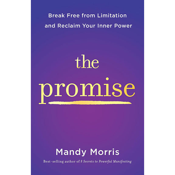 The Promise - Mandy Morris