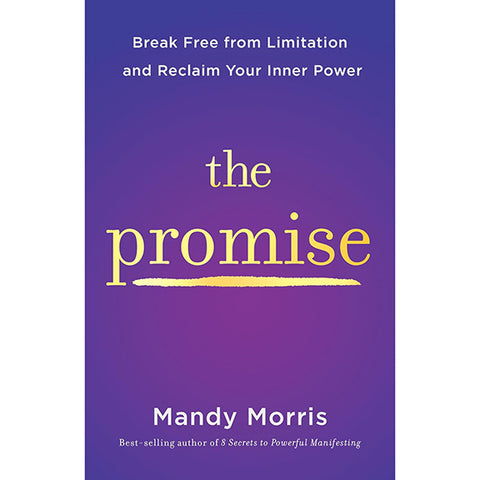 The Promise - Mandy Morris