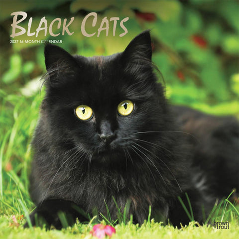Wall Calendar 2027 Black Cats with Foil