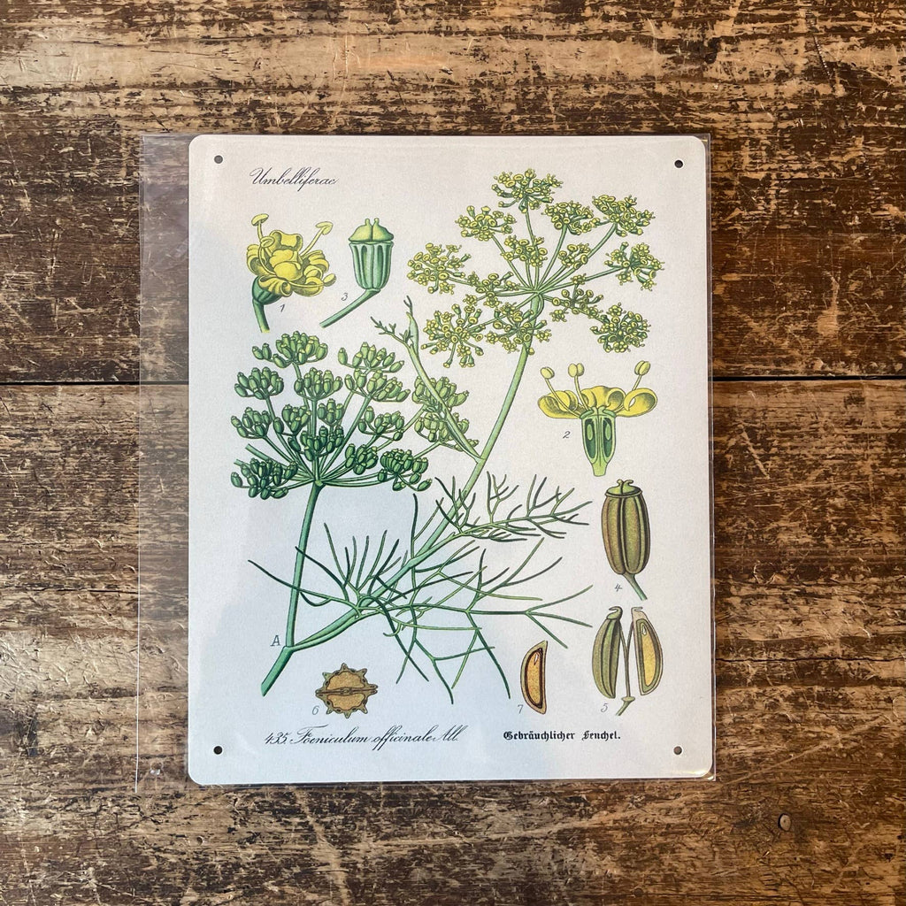 Metal Sign: Herbs - Sweet Fennel