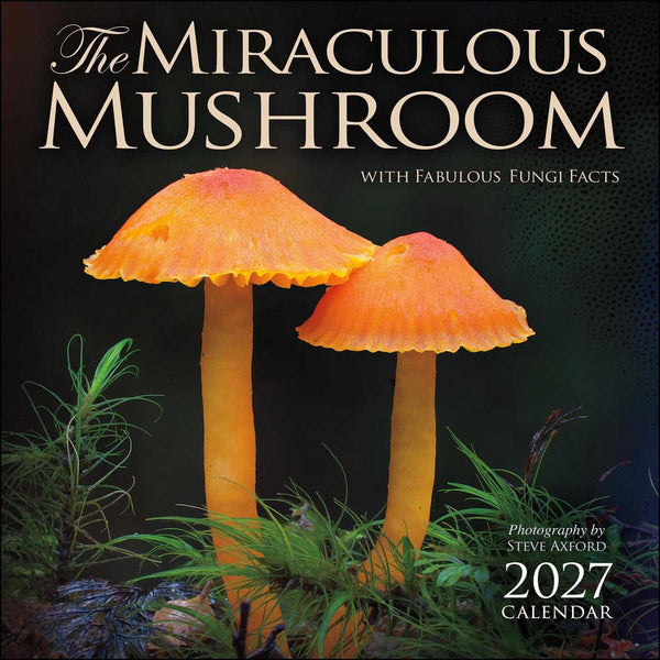 Wall Calendar 2027 The Miraculous Mushroom (Calendars - Wall)