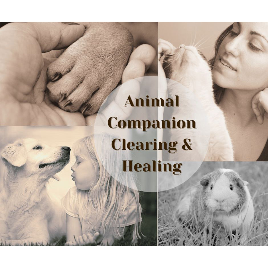 Animal Companion Clearing & Healing with Sanghavasini
