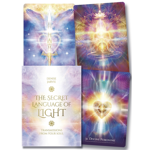 Secret Language of Light - Denise Jarvie