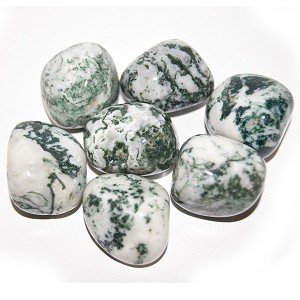 Tree Agate Tumbled (1 stone)