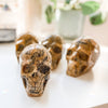 Crazy Lace Agate Skull