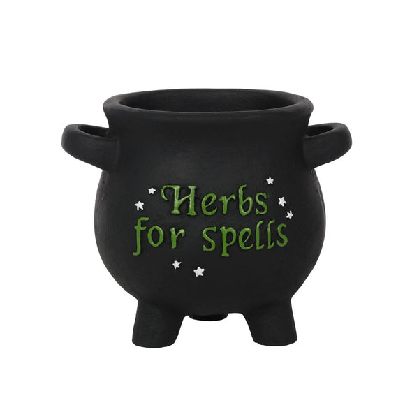 Plant Pot Herbs for Spells Cauldron (small)