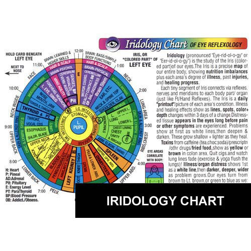 Chart Iridology