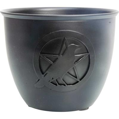 Cleansing pot - cast iron raven\pentacle 5