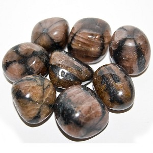 Chiastolite tumbled