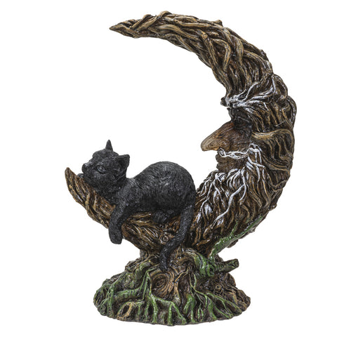 Black cat on moon