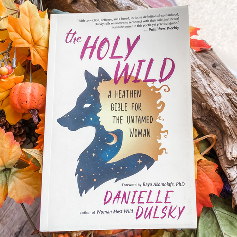 Holy Wild - Danielle Dulksy & Bayo Akomolafe