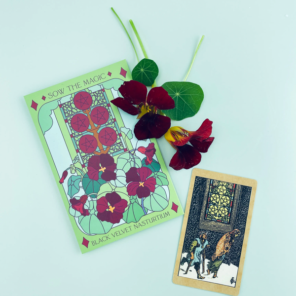 Tarot Garden + Gift Seed Packet: Black Velvet Nasturtium