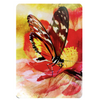 Butterfly Affirmations Deck - Alana Fairchild/Jimmy Manton