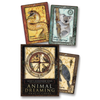 Animal Dreaming Oracle Cards - Scott Alexander King