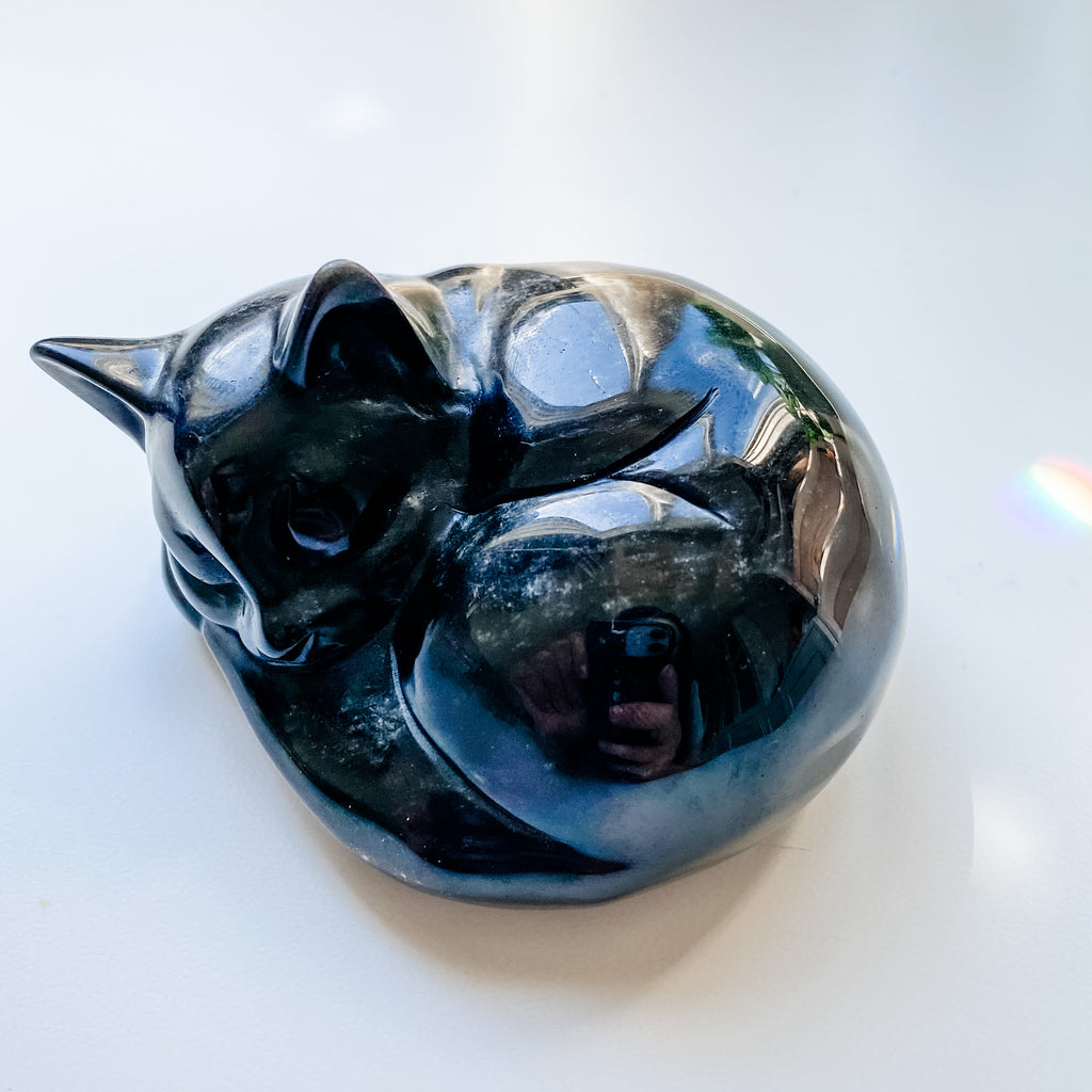 Sheen obsidian cat