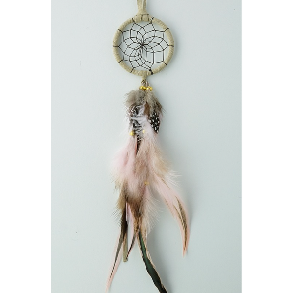 Dream Catcher 2