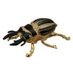 Box Jewel Black Bug