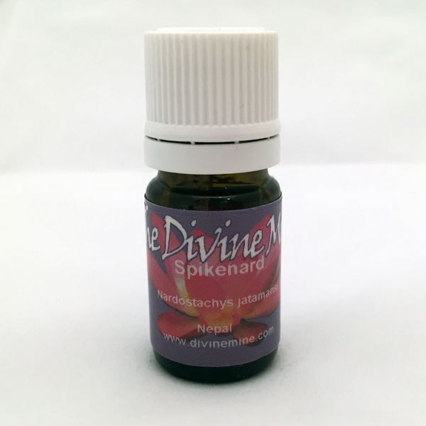 Spikenard Oil 5ml