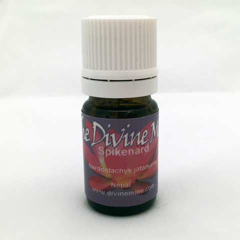 Spikenard Oil 5ml